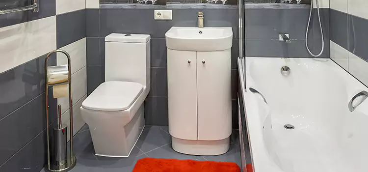 Hansgrohe Shaving Mirror North Bellmore